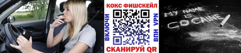купить закладку  Саранск  Cocaine Колумбийский 