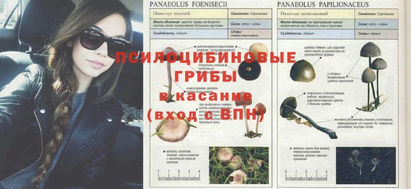 2c-b Фурманов