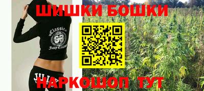 прущие крисы Лесосибирск