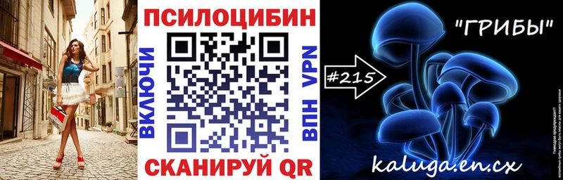 МЕГА ссылка  Саранск  маркетплейс как зайти  Галлюциногенные грибы Cubensis 