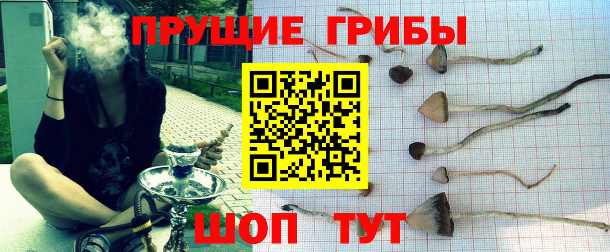 Галлюциногенные грибы прущие грибы Саранск