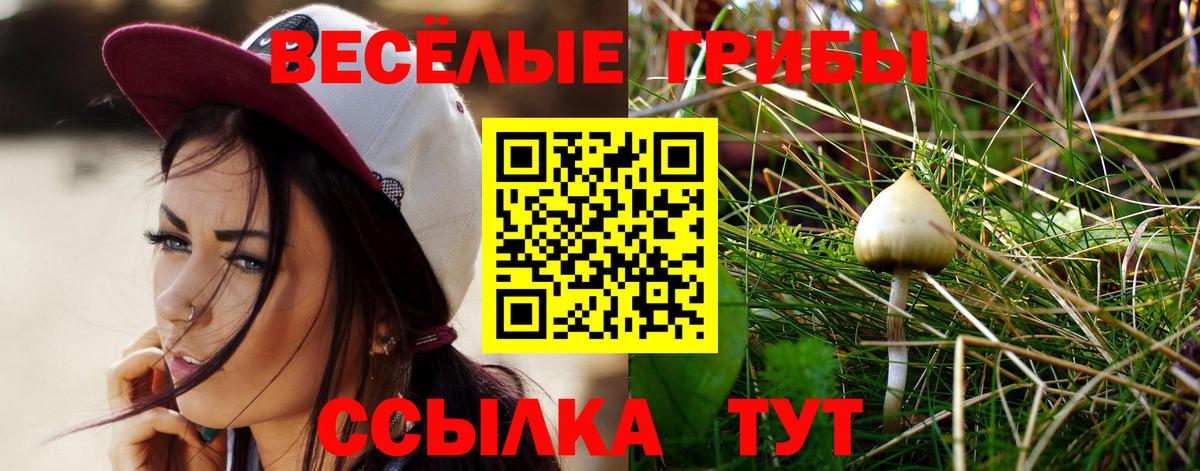 Псилоцибиновые грибы Cubensis  Галлюциногенные грибы Magic Shrooms  Саранск  Вход с VPN 